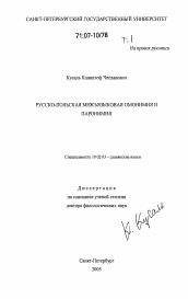 Диссертация по филологии на тему 'Русско-польская межъязыковая омонимия и паронимия'