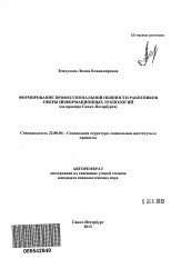 Автореферат по социологии на тему 'Формирование профессиональной общности работников сферы информационных технологий'