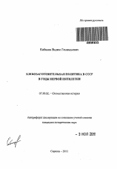 Автореферат по истории на тему 'Хлебозаготовительная политика в СССР в годы первой пятилетки'