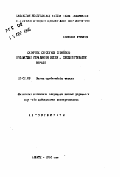 Автореферат по филологии на тему 'Литературно-публицистическое наследие Нухамеджана Серадина'