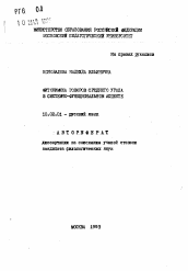 Автореферат по филологии на тему 'Фитонимика говоров Среднего Урала в системно-функциональном аспекте'