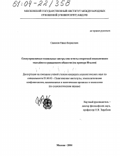 Диссертация по политологии на тему 'Самоуправляемые социальные центры как агенты вторичной-социализации молодежи в гражданском обществе'