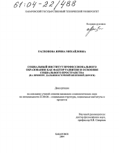 Диссертация по социологии на тему 'Социальный институт профессионального образования как фактор развития и освоения социального пространства'