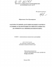 Диссертация по социологии на тему 'Факторы трудовой адаптации молодых рабочих в условиях трансформации российского общества'