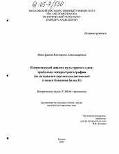 Диссертация по истории на тему 'Комплексный анализ культурного слоя: проблемы микростратиграфии'