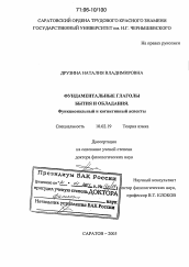 Диссертация по филологии на тему 'Фундаментальные глаголы бытия и обладания. Функциональный и когнитивный аспекты'