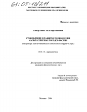 Диссертация по филологии на тему 'Становление и развитие телевидения малых северных городов России'