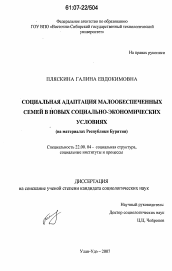 Диссертация по социологии на тему 'Социальная адаптация малообеспеченных семей в новых социально-экономических условиях'