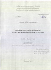 Диссертация по филологии на тему 'Русские обрядовые концепты во фразеологическом представлении'