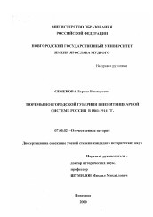 Диссертация по истории на тему 'Тюрьмы Новгородской губернии в пенитенциарной системе России в 1861-1914 гг.'