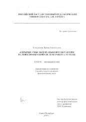 Диссертация по филологии на тему 'Скрытые смыслы и их языковое выражение в словесно-образной системе Роберта Музиля'