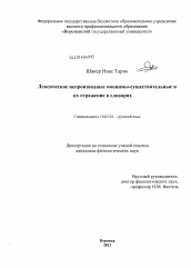 Диссертация по филологии на тему 'Лексические непроизводные омонимы-существительные и их отражение в словарях'