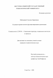 Диссертация по социологии на тему 'Социокультурные аспекты функционирования организации'